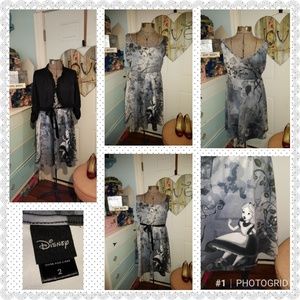 Torrid,2, Disney Alice theme, drop waist, dress.